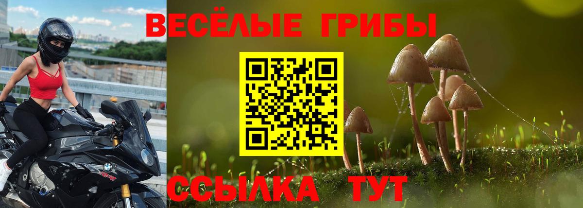 Псилоцибиновые грибы Psilocybe  Вход с VPN  Можайск 