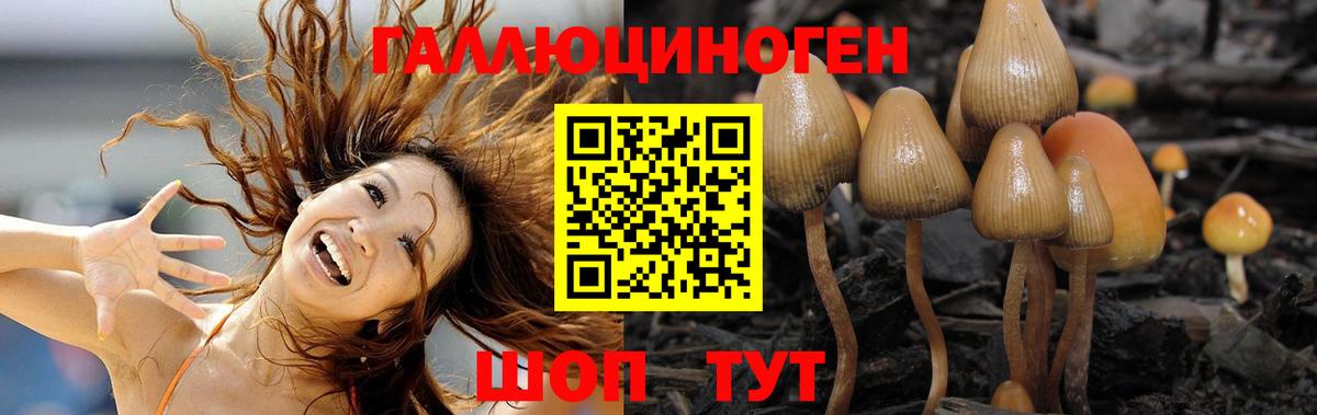 Псилоцибиновые грибы мухоморы Можайск